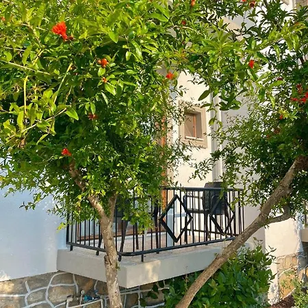 Ξενοδοχείο Cennet 3*